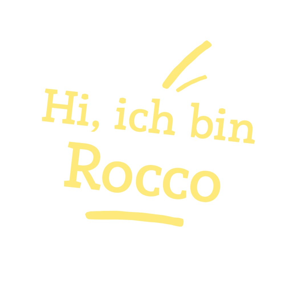 Riesen Robbe Kuscheltier Rocco