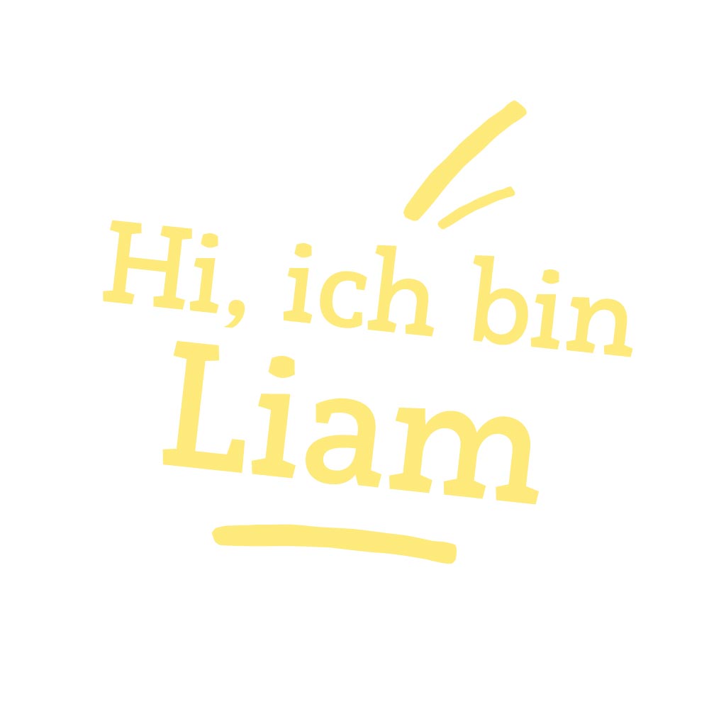 Riesen Kuscheltier Löwe Liam